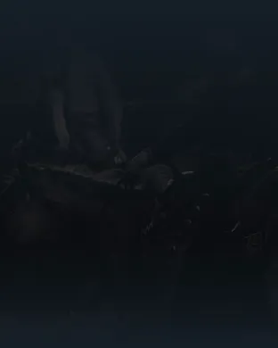 American Royal Rodeo