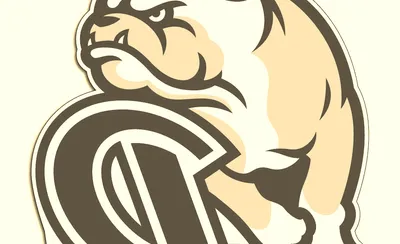 Drake Bulldogs