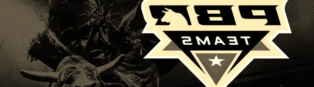 PBR Teams