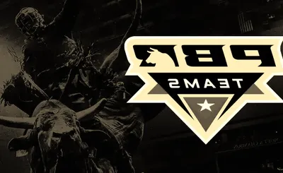 PBR Teams