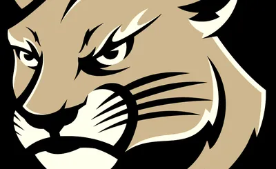 Southern Illinois-Edwardsville Cougars