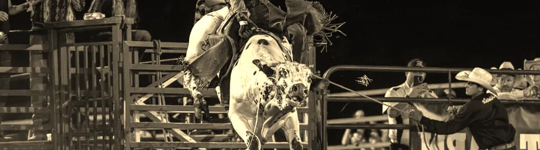 The American Rodeo