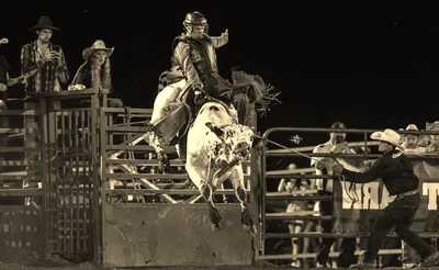 The American Rodeo