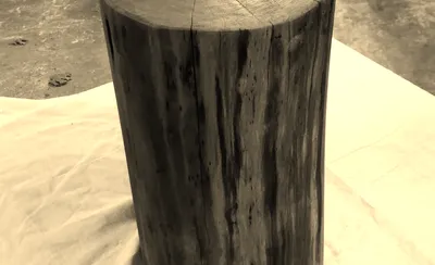 Wooden Wisdom