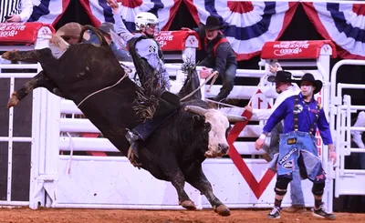 Xtreme Bulls