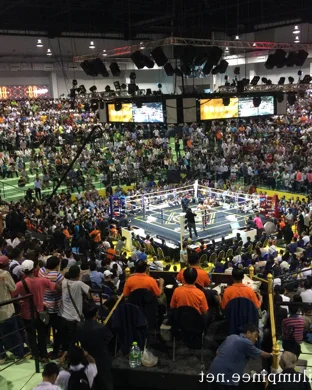 Midwest Fight League: Lights Out